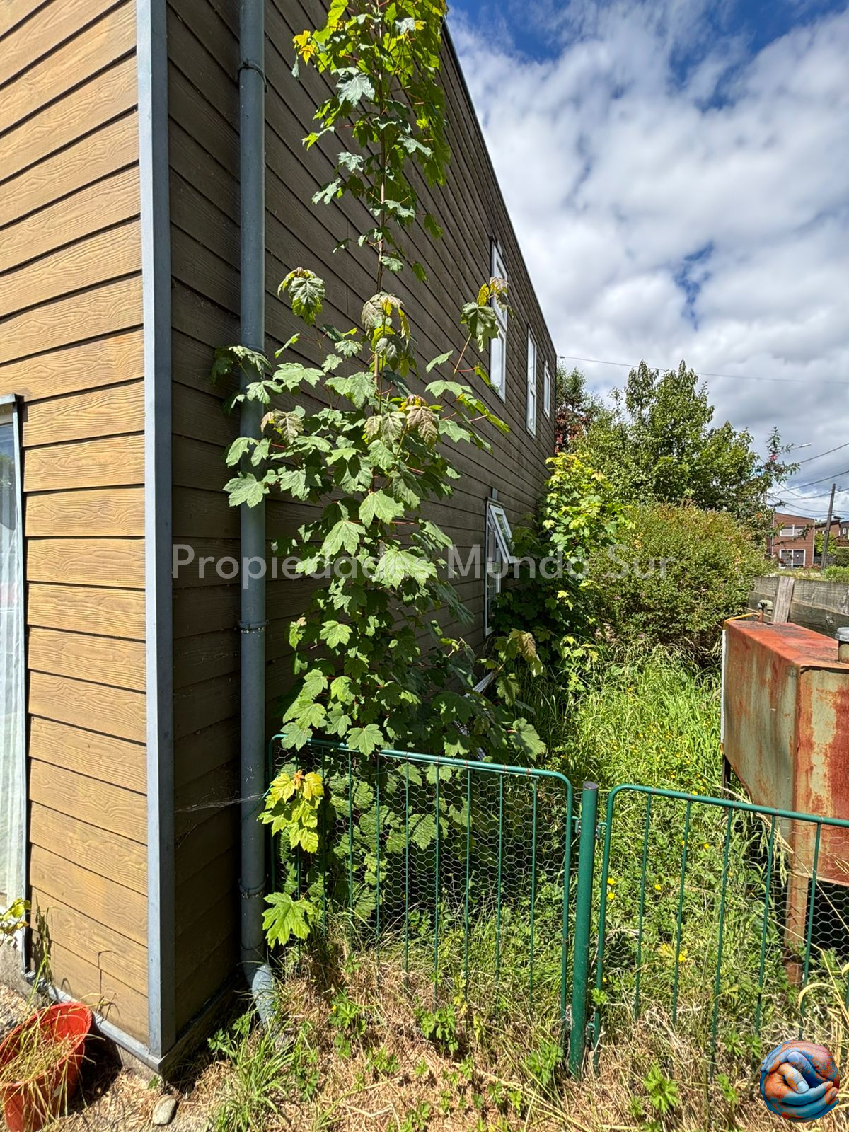 Imagen 16