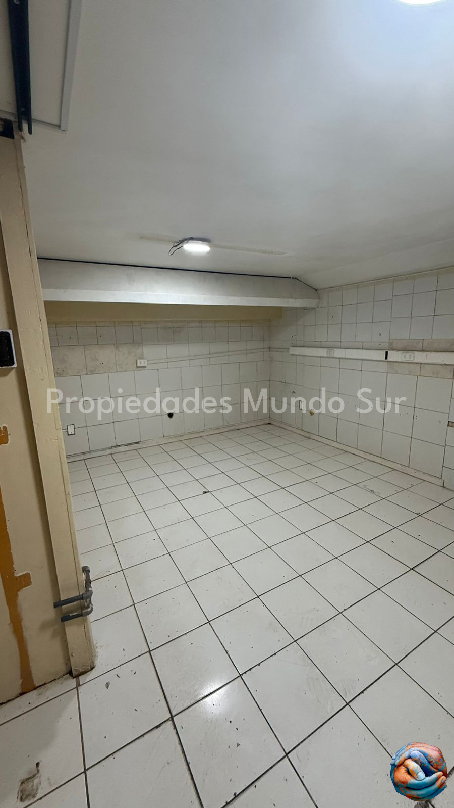 Imagen 6