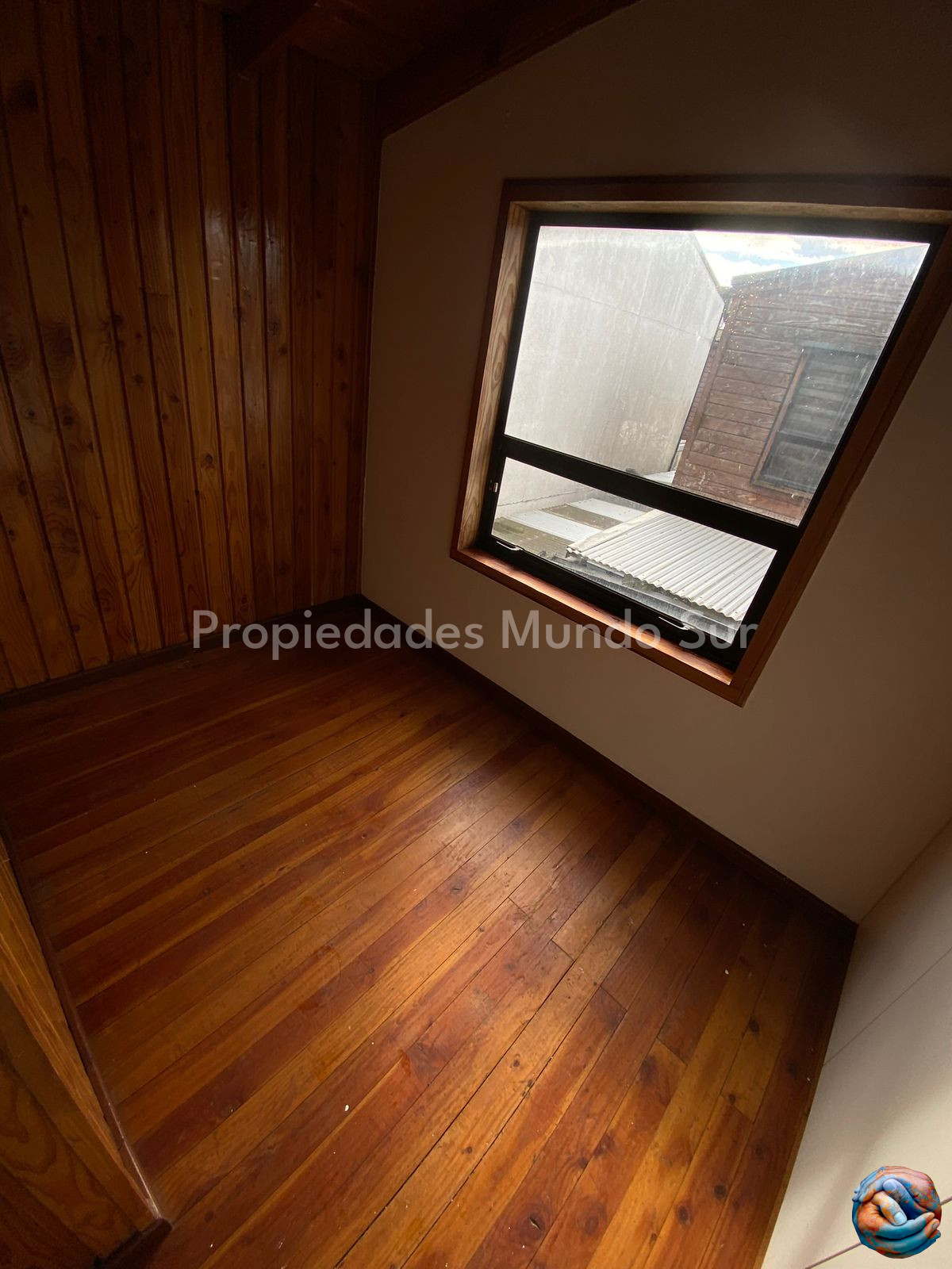 Imagen 7