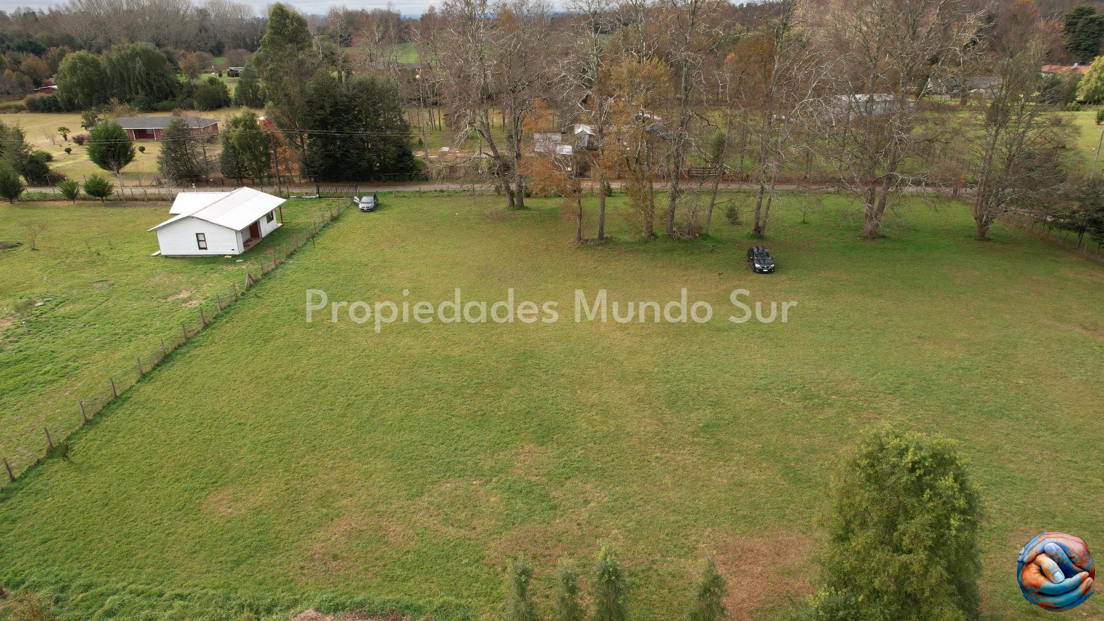 Imagen 10