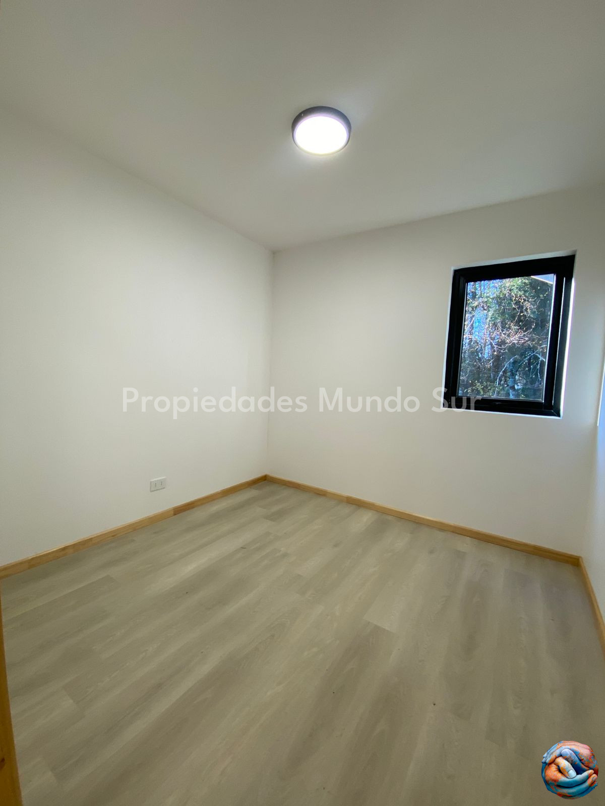 Imagen 17