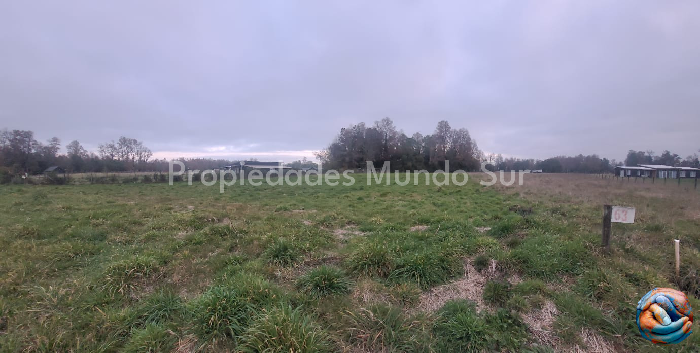 Imagen 4