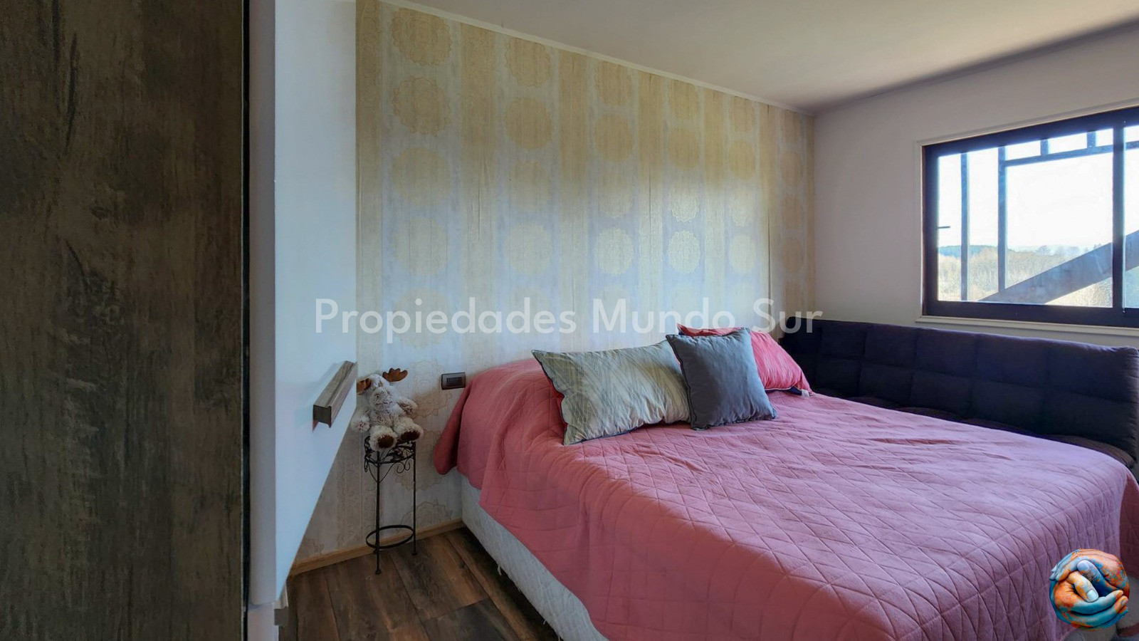 Imagen 7