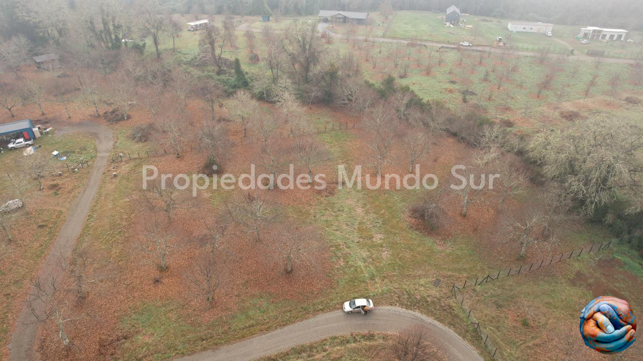 Imagen 4