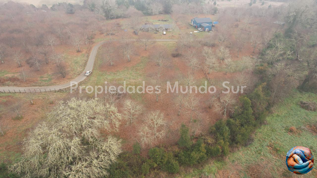 Imagen 5