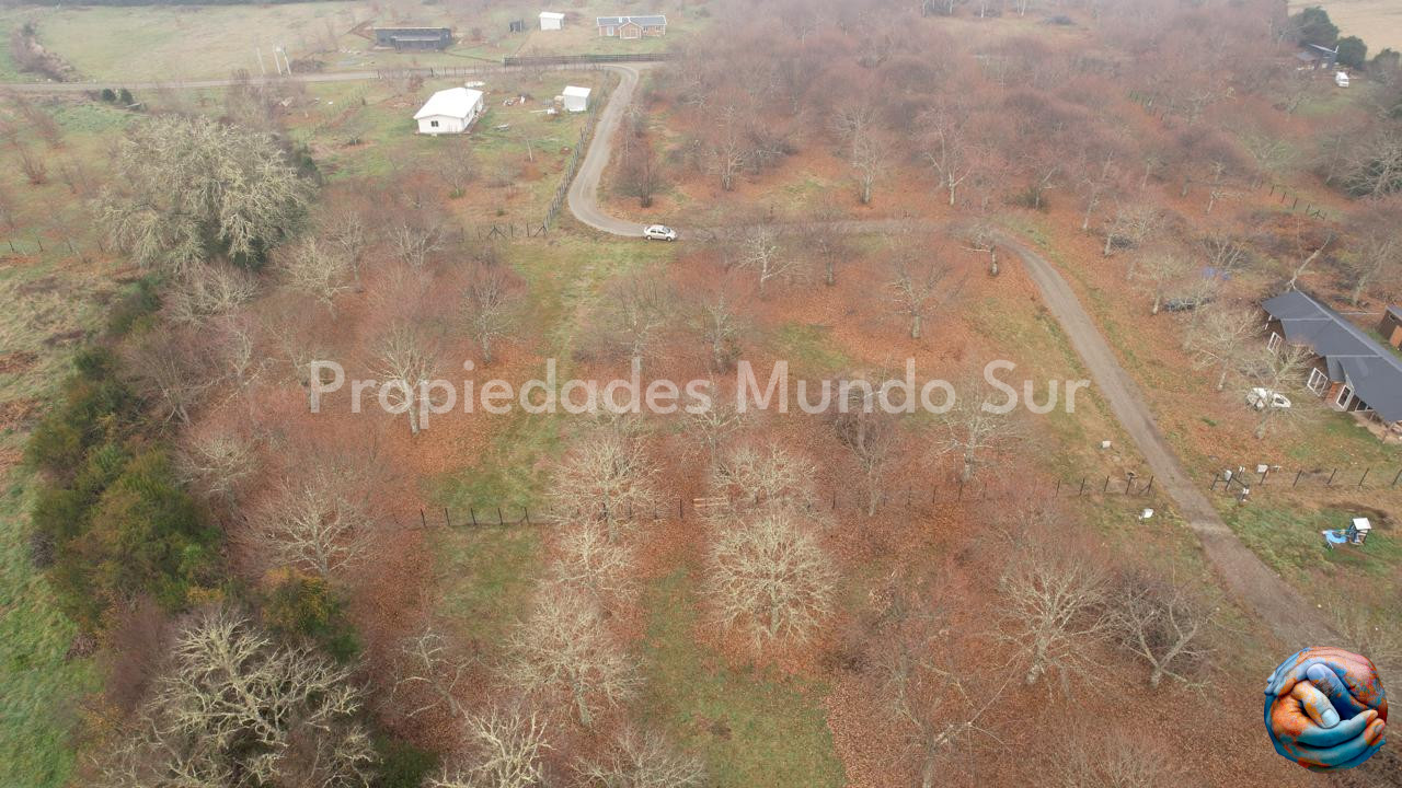 Imagen 7