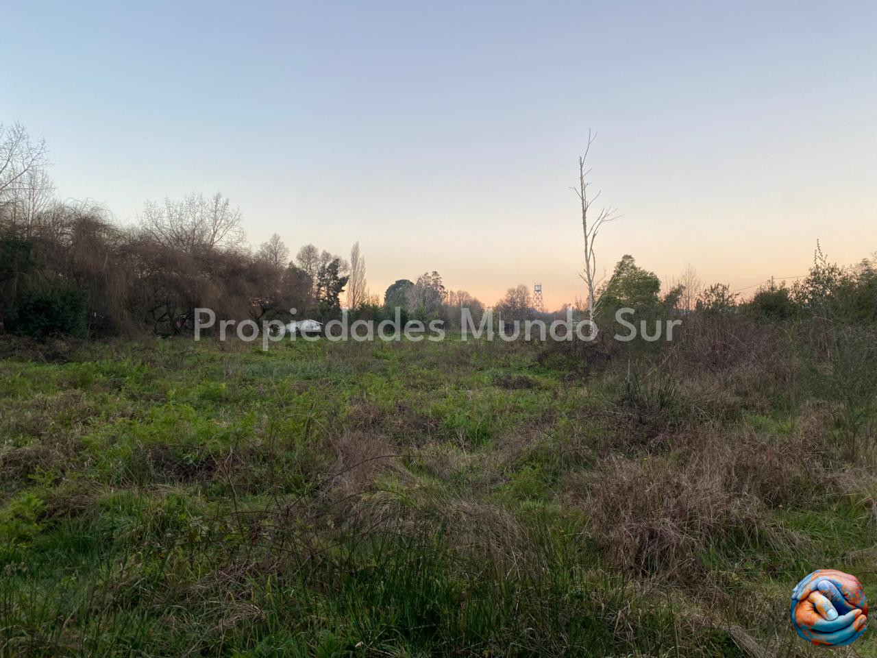 Imagen 14