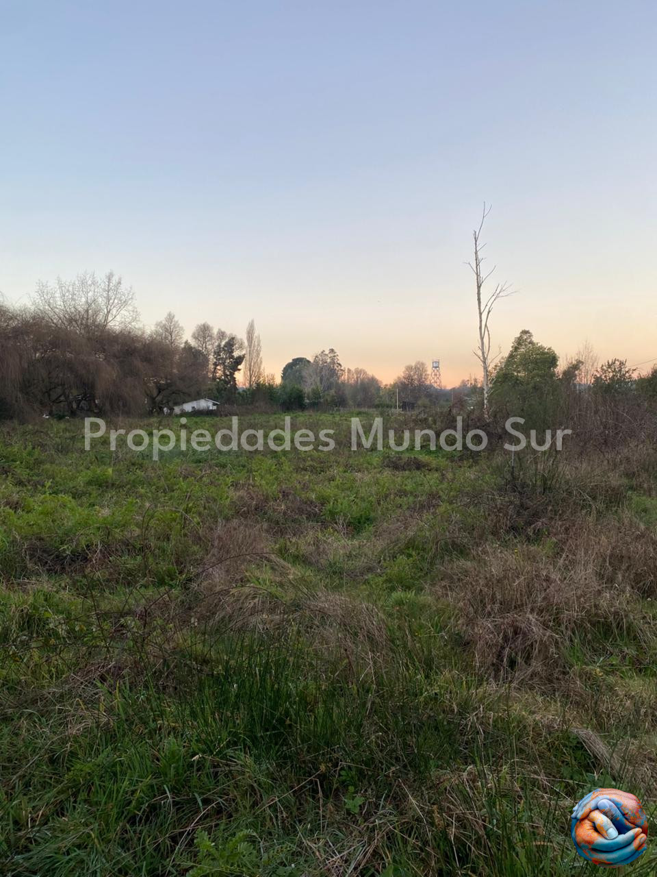 Imagen 16