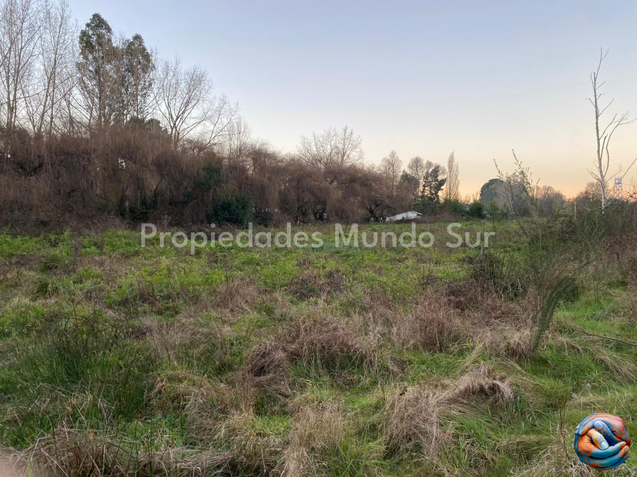 Imagen 17