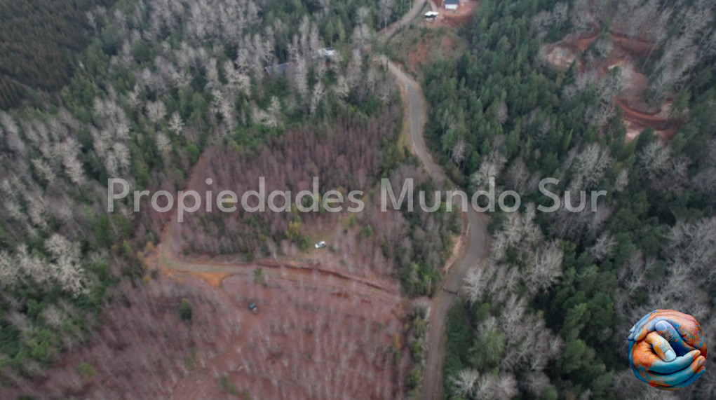 Imagen 9