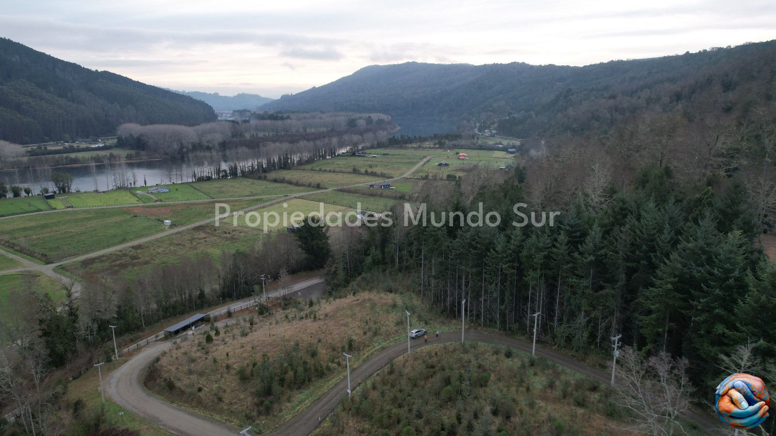 Imagen 11