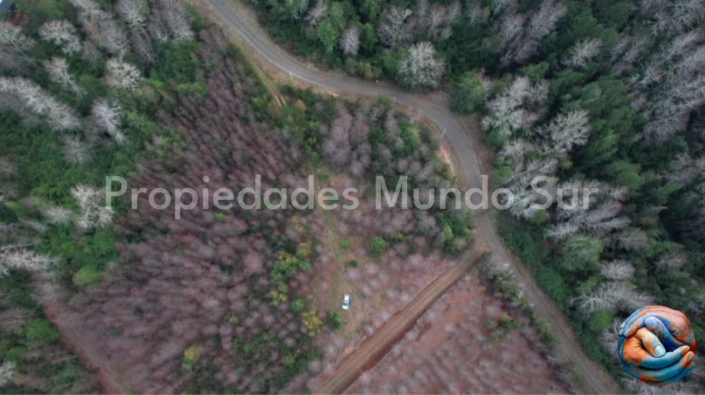 Imagen 12