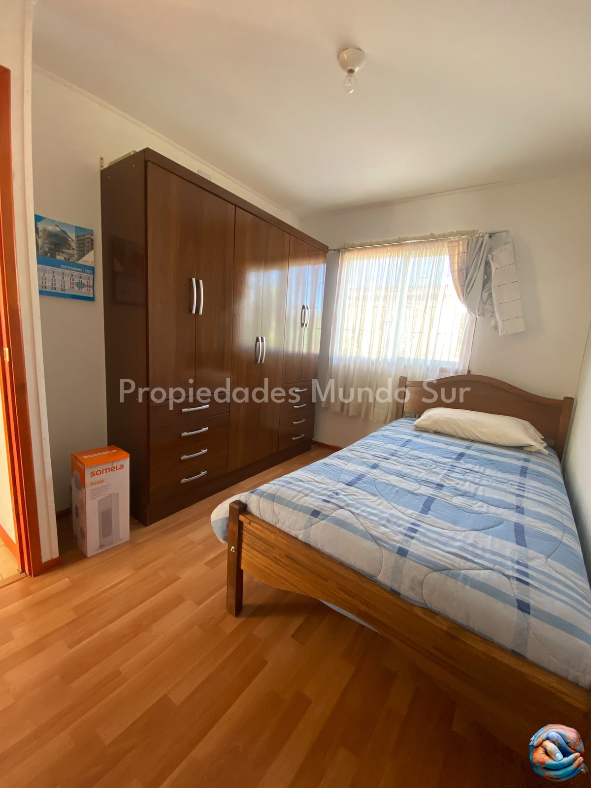 Imagen 10