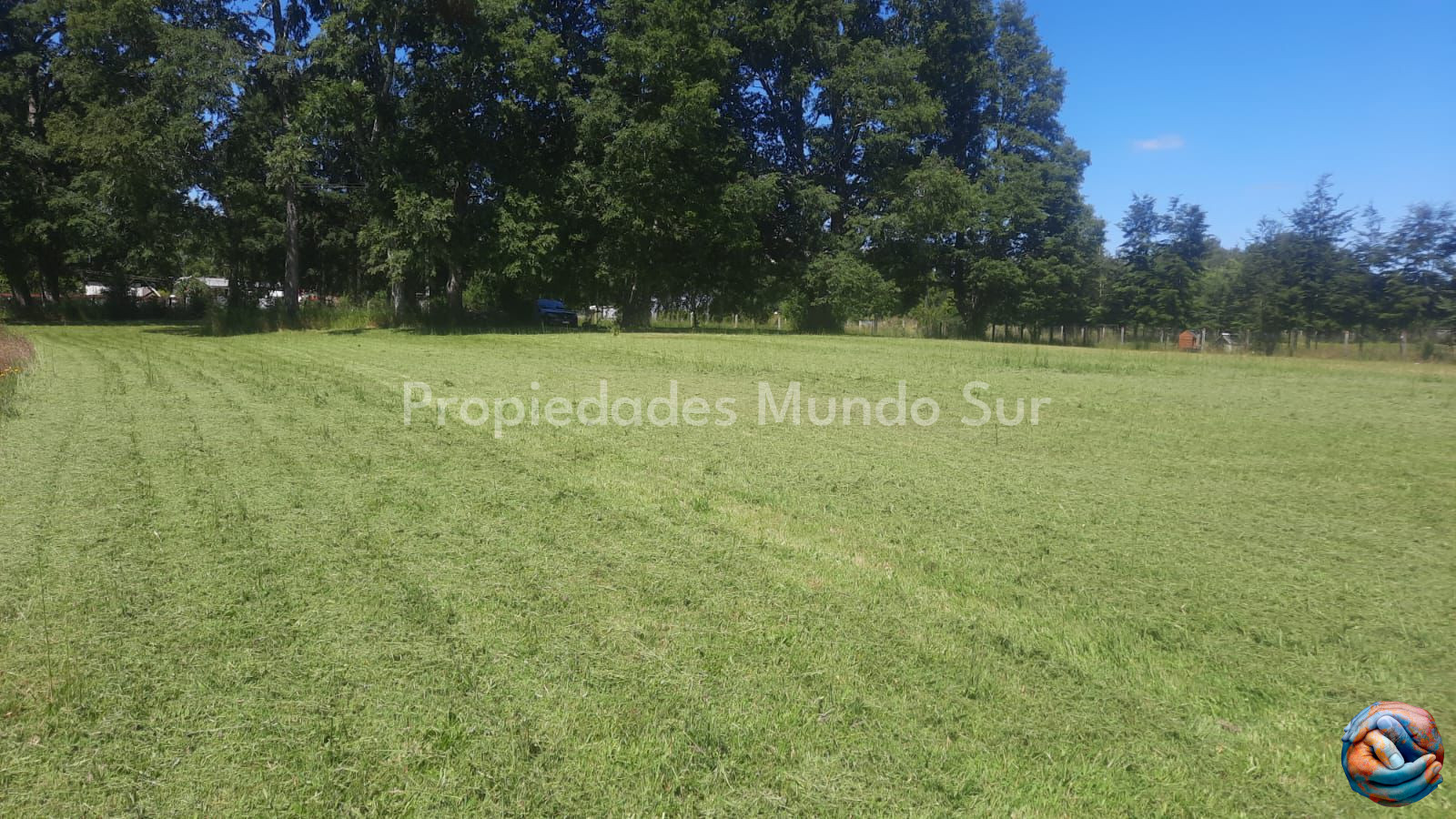Imagen 5