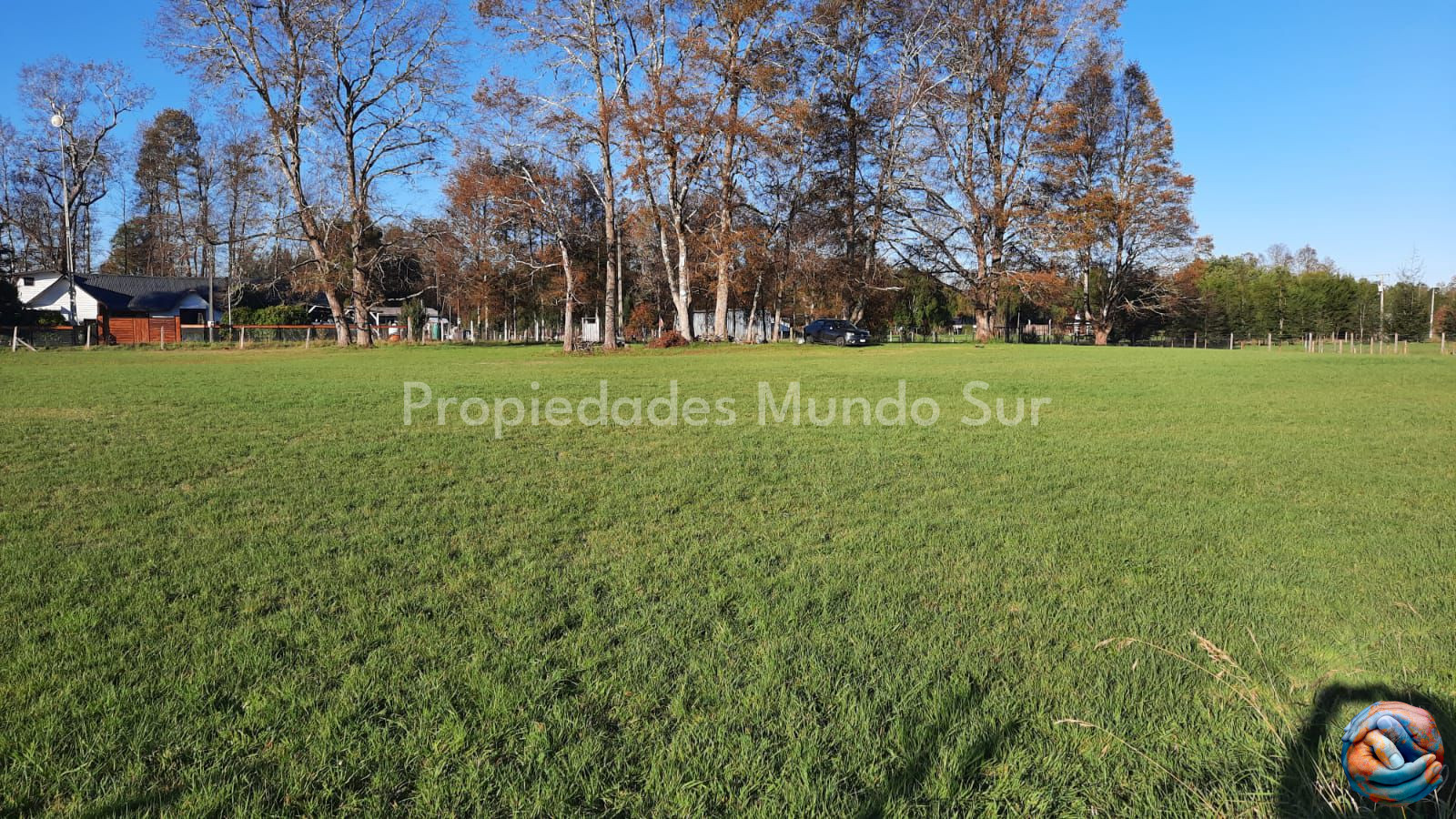 Imagen 6