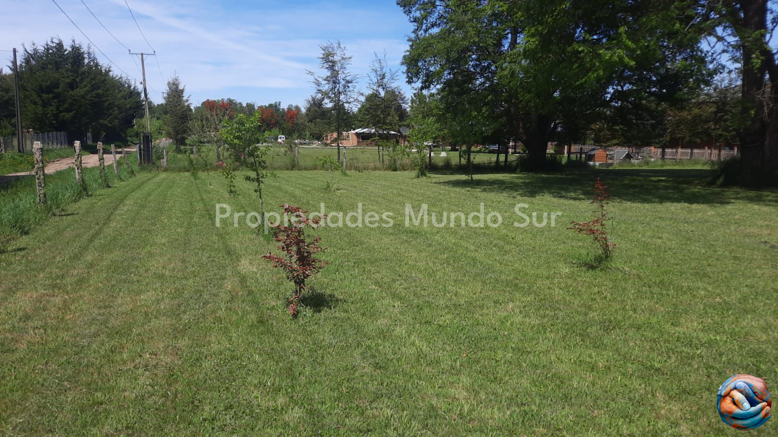 Imagen 8