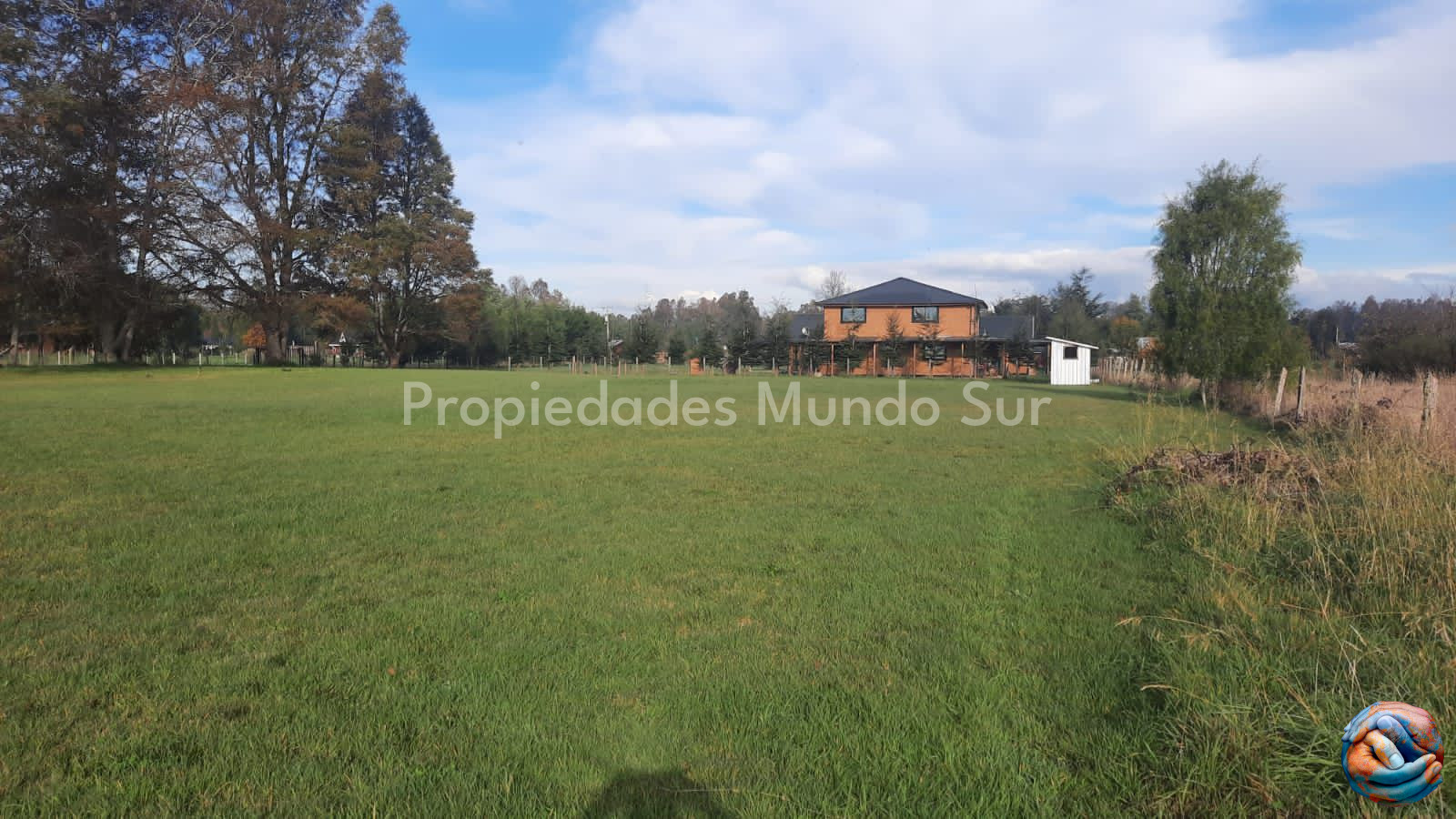 Imagen 9