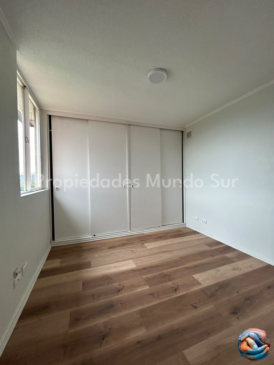 Imagen 6
