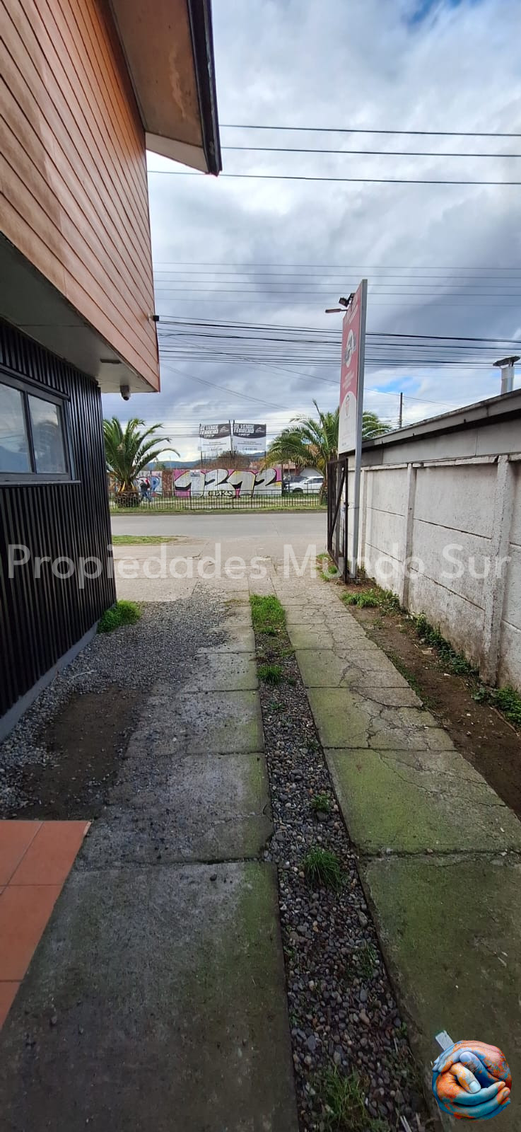 Imagen 2