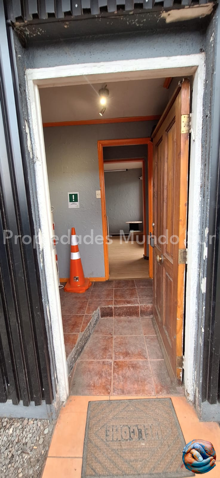 Imagen 11