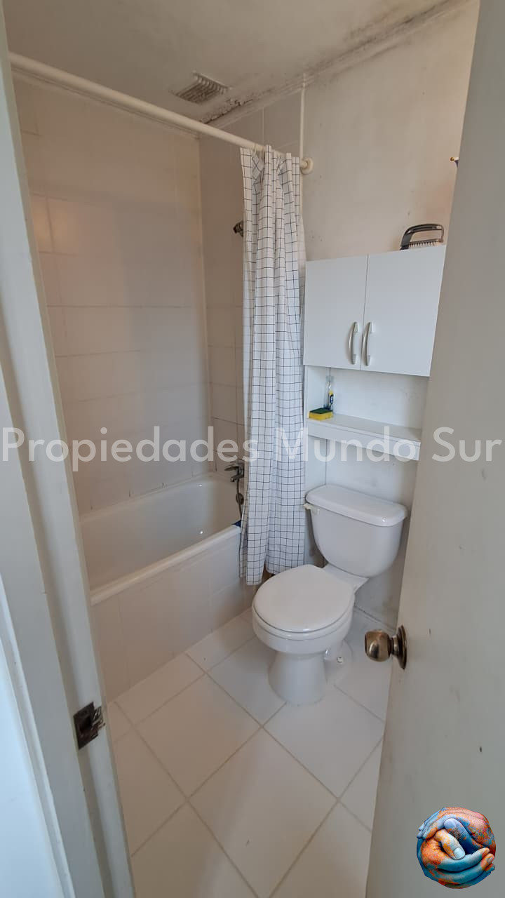 Imagen 6